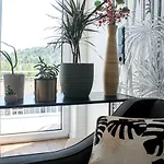 Apartamento Tropical - Fuer Freunde & Familien, Stadtnah, Parkplatz, E-ladestation, Gitterbox Fuer Fahrraeder, Fitnessstudio, Digitale Gaestemappe Mit Restaurant- Und Unternehmenstipps